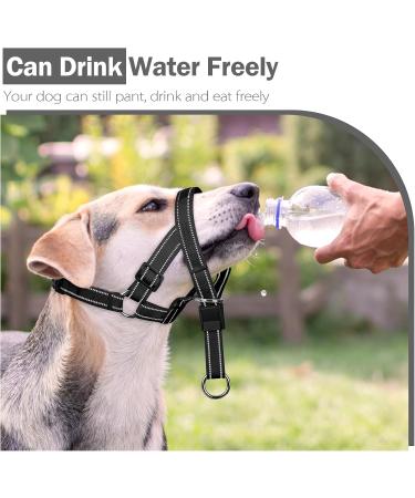 Weesiber Adjustable Dog Muzzle & Padded Halter - No Pulling Leash Solution for Medium Dogs (Black) - Buy Online on SooperMarket.com
