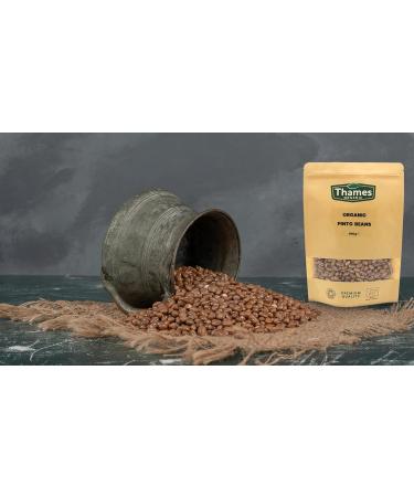 Organic Pinto Beans - High in Protein and Fiber No Additives No Preservatives Non-GMO Vegan - Perfect for Soups Stews Salads and Mexican Dishes - Thames Organic 1kg - Buy Online on SooperMarket.com