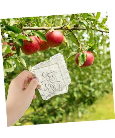 Kisangel 6 Pcs Square Apple Molds Vegetable Growth Mold Growing Fruit Mold Shaper Mould Cover Stereotypes - Buy Online on SooperMarket.com
