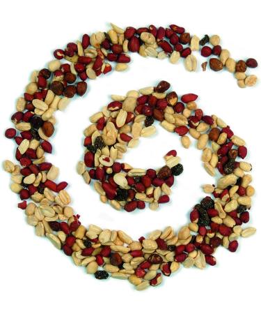Erdtmanns Squirrel Food in Net - 2 x 0.3 kg | Premium Quality 19.1 x 11.4 x 2.5 cm | International Shipping Available - Buy Online on SooperMarket.com