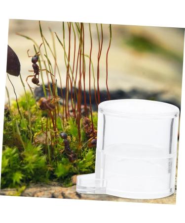 Mipcase 2pcs Ant Water Feeder Tortoise Water Dish Reptile Water Dish Cup Insect House Transparent Acrylic - Buy Online on SooperMarket.com