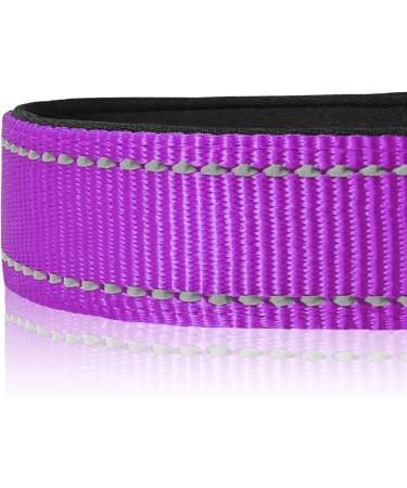 Joytale Reflective Dog Collar for Puppies - XS Purple | International Shipping Available - Buy Online on SooperMarket.com