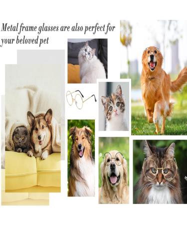 Shop 3-Piece Retro Round Glasses | Unisex Vintage Metal Frame & Clear Lenses - Perfect for Decoration! - Buy Online on SooperMarket.com