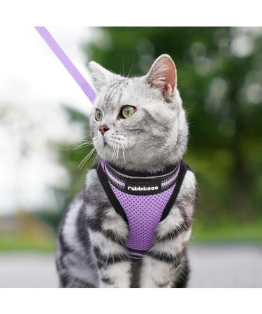 Rabbitgoo Cat Dishes Set - Stylish Cat Linen with Leash | Perfect for Cats | International Shipping - Buy Online on SooperMarket.com