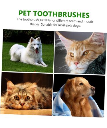 GANAZONO 3 Sets Pet Toothbrush Toothpaste for Dogs Green Dog Toothbrush Pet Mouth Cleaning Tool Tools Pp - Buy Online on SooperMarket.com