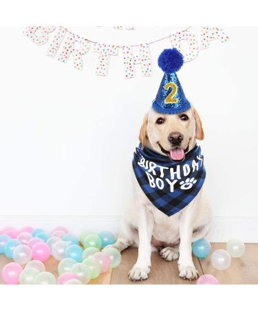 Sunallwell Dog Birthday Bandana & Party Hat Set | Cute Puppy Outfit & Decoration - Buy Online on SooperMarket.com