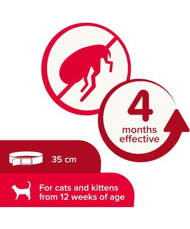 Beaphar Soft Flea Collar for Cats Kills Fleas For up to 4 Months Veterinary Medicine Adjustable With Safety Mechanism For Cats From 12 Weeks of Age 1 x Velvet Collar Colours May Vary - Buy Online on SooperMarket.com