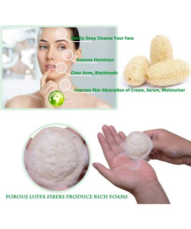 Sportout Exfoliating Loofah Face Brush Cleanser 10-Pack | Natural Facial Cleansing Scrubber for Men and Women - Buy Online on SooperMarket.com