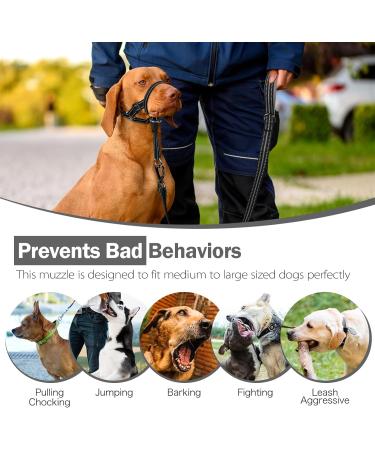 Weesiber Adjustable Dog Muzzle & Padded Halter - No Pulling Leash Solution for Medium Dogs (Black) - Buy Online on SooperMarket.com
