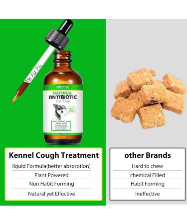 Dog Health Supplement Drops for Allergy Relief, Skin Itch, Kennel Cough, UTI & Ear Infection - Multivitamin Bacon Flavor - 2 Fl Oz - Buy Online on SooperMarket.com