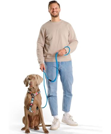 Hands-Free Dog Leash - 2m Adjustable Belly Belt for Running & Jogging | 3-in-1 Training & Hunting Leash for All Dog Sizes - Touline Petrol - Buy Online on SooperMarket.com