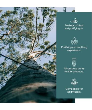 Plant of Life Essential Oil - 100% Pure and Natural - Therapeutic Grade Essential Oil with Dropper (Eucalyptus 2 oz (60mL)) - Buy Online on SooperMarket.com