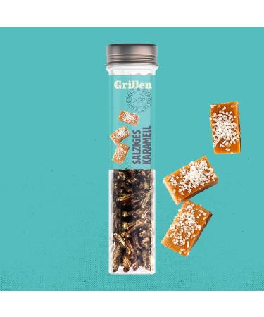 Original Sensible Insect Snack - Crunchy Protein Party Mix | Spicy & Sweet Grilling Gift - 4x20g - Buy Online on SooperMarket.com