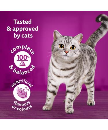 WHISKAS Adult Dry Cat Food - Beef Selections Flavour 9.1kg Bag - Buy Online on SooperMarket.com