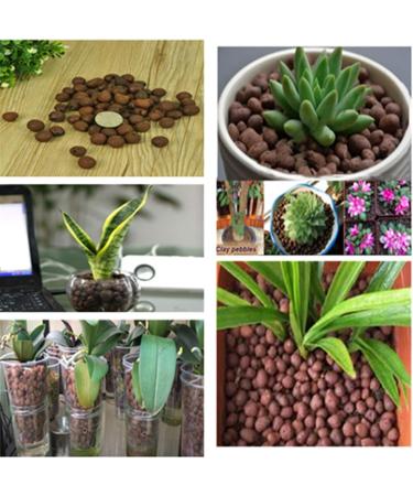 2LBS Brown Leca Clay Pebbles for Plants & Orchids | Hydroponic Grow Media & Horticultural Drainage - Buy Online on SooperMarket.com