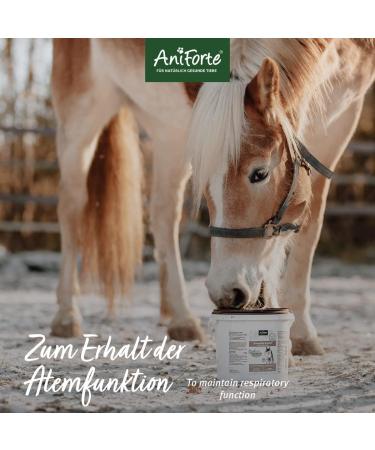 AniForte Bronchial Herbs for Horses 1kg - Natural Respiratory Support with Methylcysteine | Cough Relief & Healthy Airways - Buy Online on SooperMarket.com