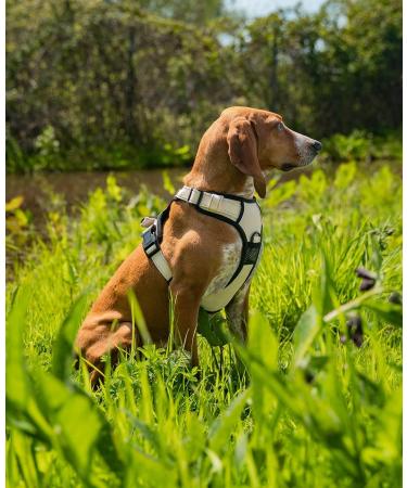 Shop Lionto Adjustable Padded Anti-Pull Dog Harness - Reflective Safety Harness Size S Beige | International Shipping Available - Buy Online on SooperMarket.com