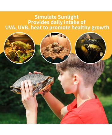 Caldarax 2 Pack Reptile Heating Bulb E27 Dimmable UVA UVB Bulb Tortoise 25W Turtle Basking Bulb for Reptiles and Amphibians Heat Lamp Bulb for Tortoise Bearded Dragon Lizard Snake - Buy Online on SooperMarket.com