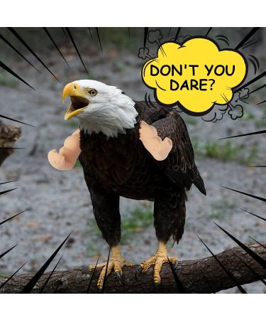 FUAMEY Muscle Chicken Arms Toys for Chickens to Wear  Funny Costume Fist Fighting Arms Toy for Pet Prank Themed Party  Artificial Arms Decorations Costume Cosplay for Chickens Rooster Hens Upgraded version - Buy Online on SooperMarket.com