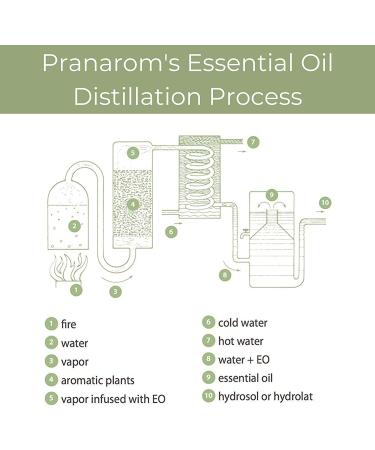 Pranarom Essential Oil Just Plain Relief 0.27 fl oz - Natural Pain Relief & Comfort - Buy Online on SooperMarket.com