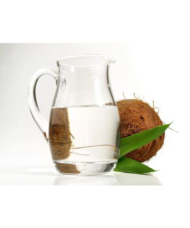 Dr Joe Lab MCT Oil 1 Gallon - 100% Pure Fractionated Coconut Vegan Medium Chain Triglycerides for Skin Hair Nails & Body - Grade A Quality Carrier Oil - Buy Online on SooperMarket.com