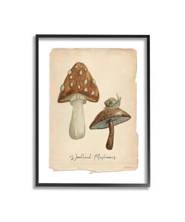 Stupell Industries Woodland Mushrooms & Snail Framed Giclee Art by Carol Robinson 11 x 14 Black Framed