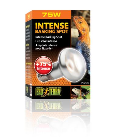 Exo Terra Intense Basking Spot Lamp 75 W 75 Watt