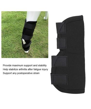 Stability Support Dog Leg Support Neoprene Pet Knee Guard Stabilize Arthritis for Dog Leg Guard(Black M) - Buy Online on SooperMarket.com