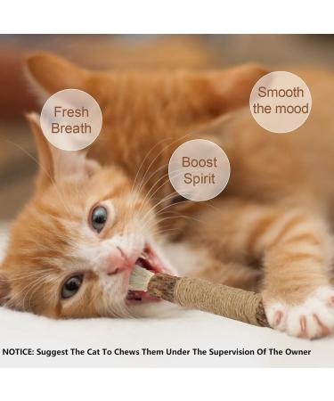 Olyee Silvervine Chew Sticks: Natural Kitten Teething Toys for Cat Dental Care and Stress Relief - Buy Online on SooperMarket.com