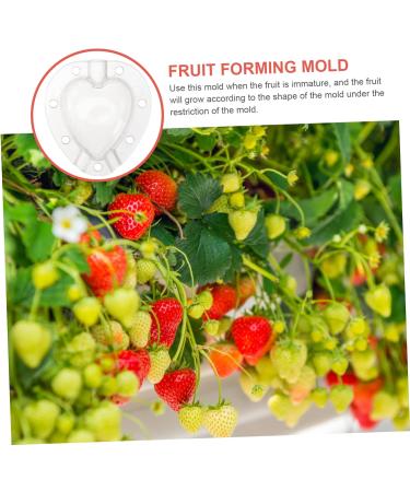 POPETPOP 10 Pcs Fruit Shaping Fruit Plastic Fruit Watermelon White Gardening Supplies 4.5x4cmx2pcs Whitex2pcs - Buy Online on SooperMarket.com