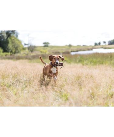 Buy TRIXIE 32192 Dog Activity Preydummy - Pack of 2 ( 7 x 18 cm) | Ideal for International Shipping - Buy Online on SooperMarket.com