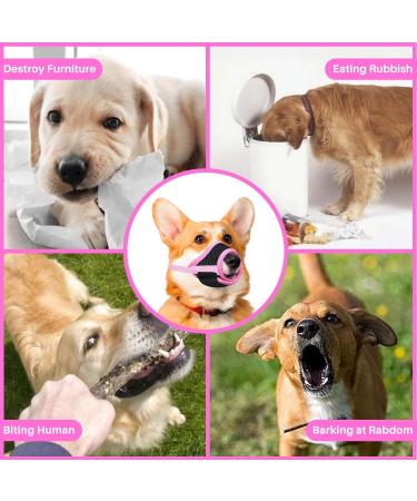 Singwow Adjustable Dog Muzzle | Prevent Biting, Barking, Chewing | Air Mesh Breathable | Small Medium Large Dogs (S) - Buy Online on SooperMarket.com
