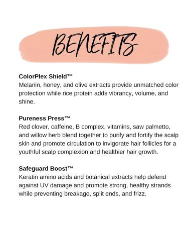 Calista Jousse Cleanse and Condition Duo Professional Shampoo and Conditioner Honeymint Blend Paraben Sulfate Free Cruelty Free 32 Fl Oz (Pack of 2) - Buy Online on SooperMarket.com