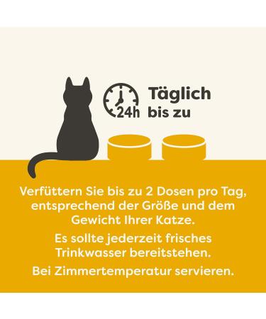 Applaws Premium Natural Wet Cat Food | Chicken & Cheese in Broth 70g Can (24 Pack) - Healthy Cat Nutrition - Buy Online on SooperMarket.com