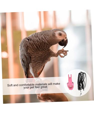 Angoily Parrot Flight Suit Cosplay Dress - Nymphensittich Diaper & Clothing for Pet Birds | Durable Leather Leash & 2m Long Costume - Buy Online on SooperMarket.com