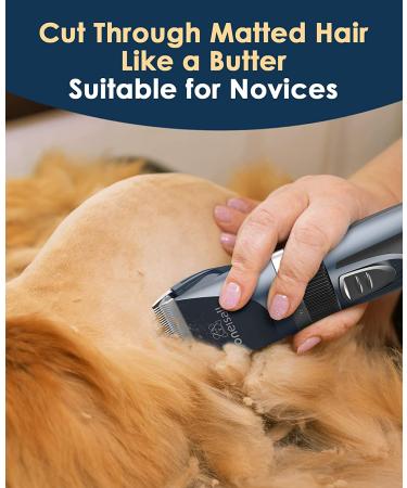 Oneisall Cat Grooming Clippers for Matted Hair - 2-Speed Cordless Pet Trimmer Kit - Low Noise Clipper for Dogs, Cats, Animals (Blue) - Buy Online on SooperMarket.com