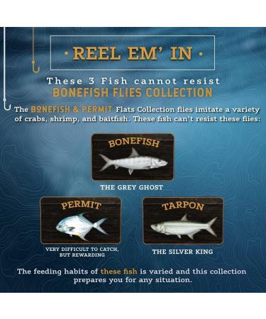 DiscountFlies Bonefish & Permit Saltwater Fly Fishing Kit - 12 Realistic Flies with Fly Box | Strong Sharp Hooks - Bonefish Fly Fishing Flies Collection (12 Pack) - Buy Online on SooperMarket.com