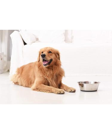 Peggy11 6-Cup Stainless Steel Anti-Slip Dog Bowls - Set of 2 - Buy Online on SooperMarket.com