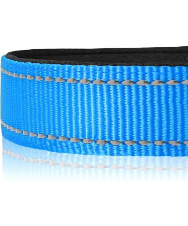 Buy Joytale Reflective Dog Collar for Small Dogs - Blue S (Pack of 1) | International Shipping Available - Buy Online on SooperMarket.com