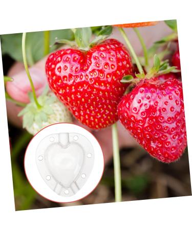 POPETPOP 10 Pcs Fruit Shaping Fruit Plastic Fruit Watermelon White Gardening Supplies 4.5x4cmx2pcs Whitex2pcs - Buy Online on SooperMarket.com