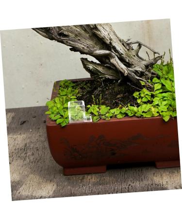 BESPORTBLE 2pcs Pet Water Feeder Ants Feeding Bowl Ants Nest Water Feeder Ants Water Feeding Plastic - Buy Online on SooperMarket.com