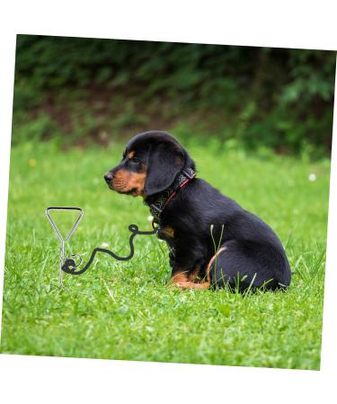 Buy Angoily Stainless Steel Dog Clutch Belt - 2-Piece Metal Binder Set (42x8.5x4cm) - Durable Silver Design for International Shipping - Buy Online on SooperMarket.com
