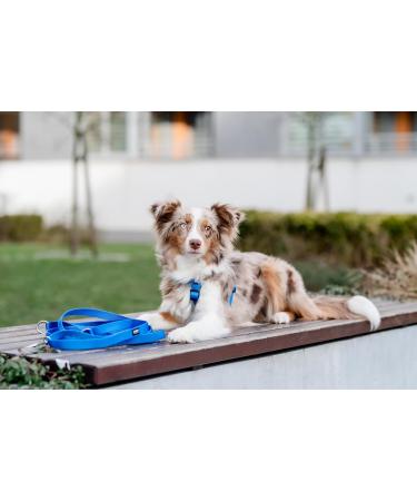 Chaba Guard Dog Harness for Medium Dogs - Adjustable No-Pull Control Harness - Comfortable Lightweight Design for Running - Anti-Choke Step-In Harness in Blue - Buy Online on SooperMarket.com