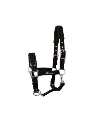 JF-Reitsport Cavesson Pro 4-way adjustable soft and shock-absorbing padded model 2021 minishetty
