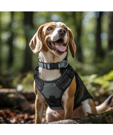 Joytale Reflective Dog Collar for Small Dogs - Grey Size S (Pack of 1) | Best International Shipping - Buy Online on SooperMarket.com