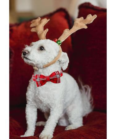 Shop Lionheart Glory Christmas Checkered Dog Collar & Bowtie - Adjustable & Comfortable for Medium Dogs - Ideal Holiday Accessory - Buy Online on SooperMarket.com