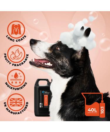 GROOM PROFESSIONAL Coat Revitalise Dog Conditioner 4L - Adds Shine and Body - For Dry & Dull Coat - Renewing Formula - Buy Online on SooperMarket.com