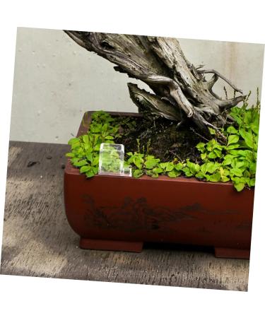 BESPORTBLE 3pcs Pet Water Feeder Small Ants Feeder Ants Water Feeding Ants Farm Accessory Insect Feeder Plastic - Buy Online on SooperMarket.com