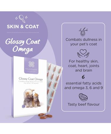 Healthspan Glossy Coat Omega 3 6 & 9 for Cats & Dogs 120 Capsules | DHA & EPA | Chicken & Beef Flavour | Pet Health Supplement - Buy Online on SooperMarket.com
