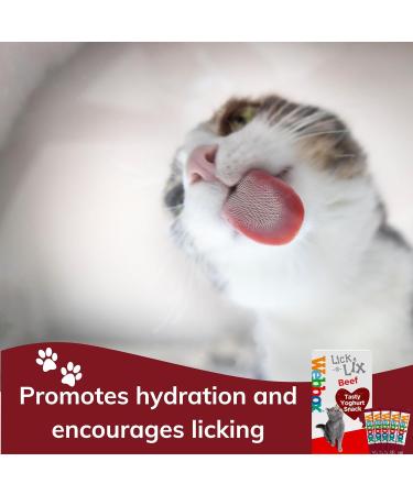 Cat Treats bundle contains Lick e Lix Chicken Salmon Beef Liver Cheese Cat Grass Licky Lix 6x5's Kitten Treat and Snacks Lick-e-Lix Total 30 sachets and our Catnip mouse toy - Buy Online on SooperMarket.com